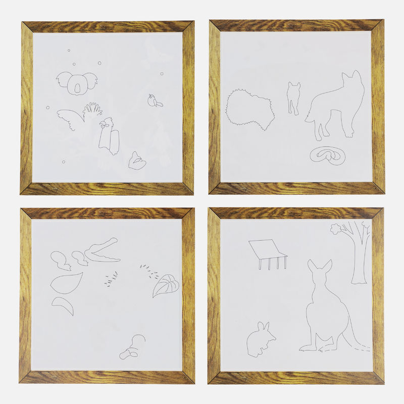 Magic Painting World | AUSSIE ANIMALS