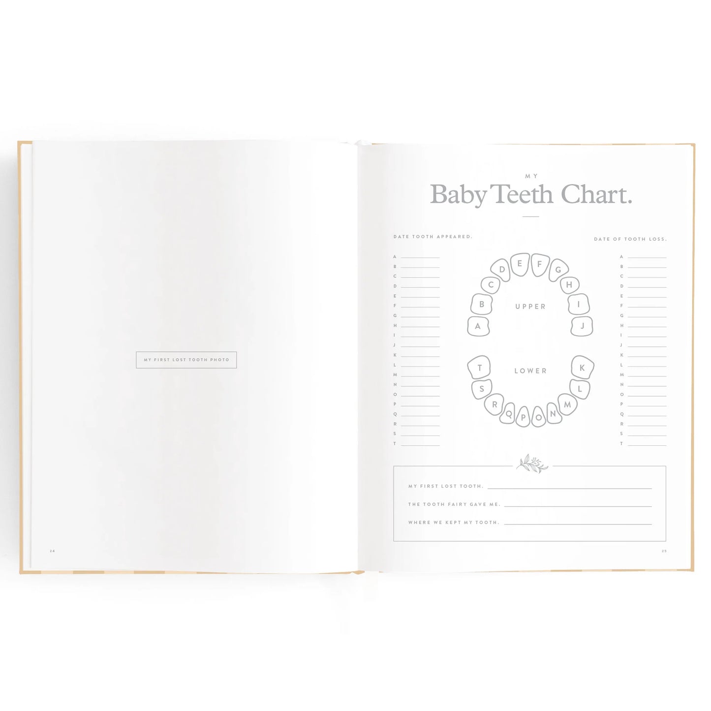 Baby Book| Coffee Stripe