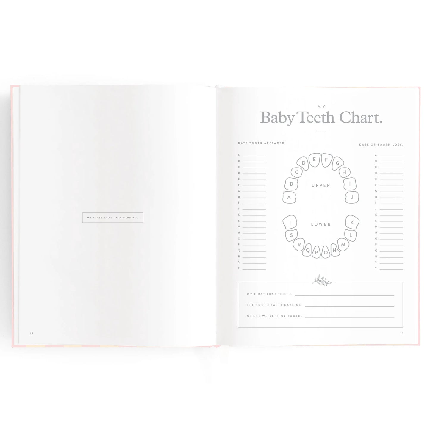 Baby Book| Petal Stripe