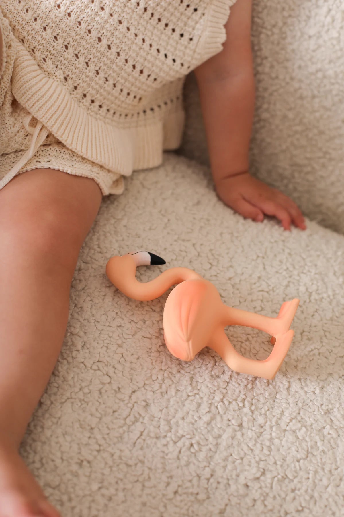 Lingo The Flamingo