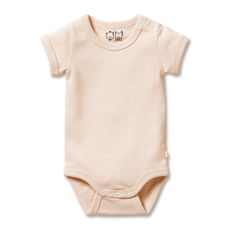Stripe Rib Bodysuit Dusk Premmie