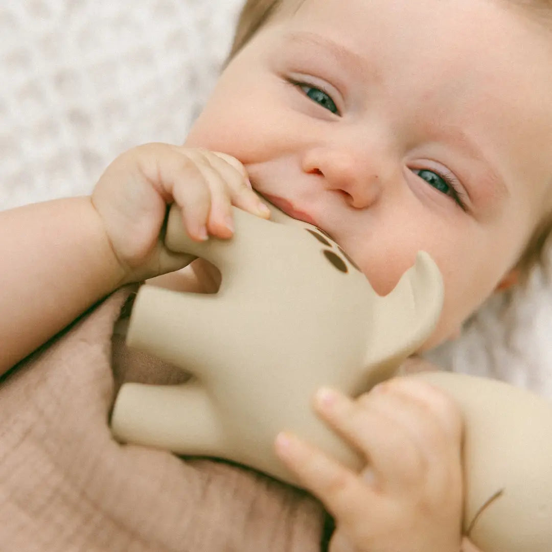 Diplo the Dino-Dragon | Natural Rubber Teether