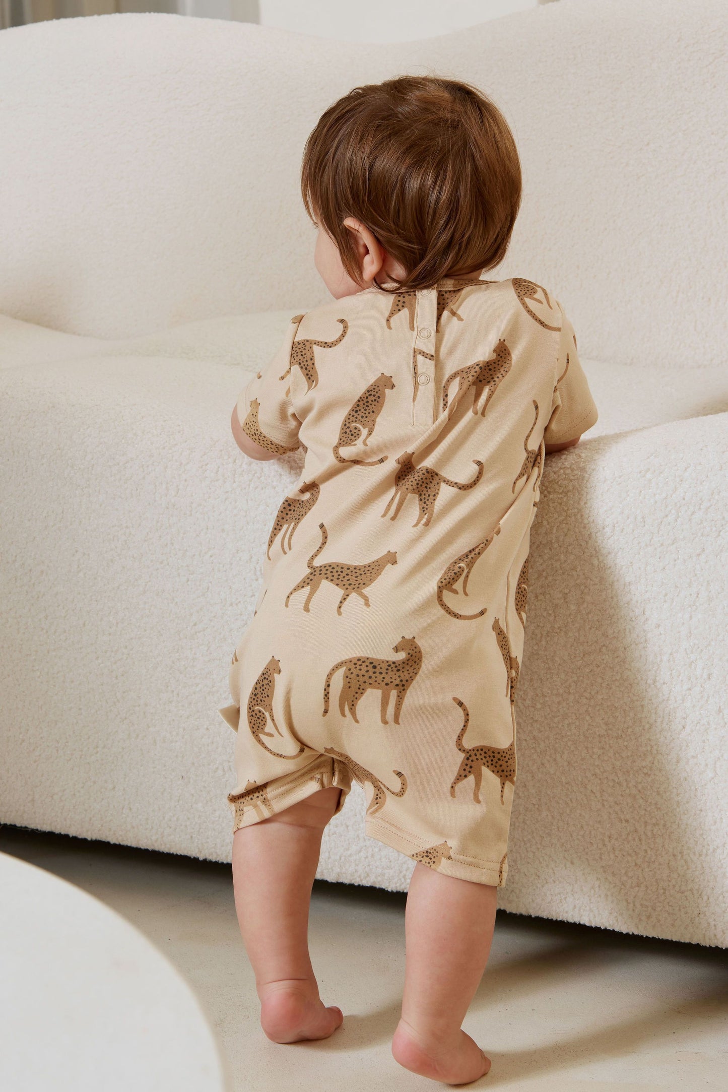 Wild Life | Shortall