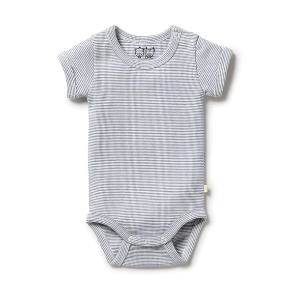 Stripe Rib Bodysuit Rain Drop Premmie
