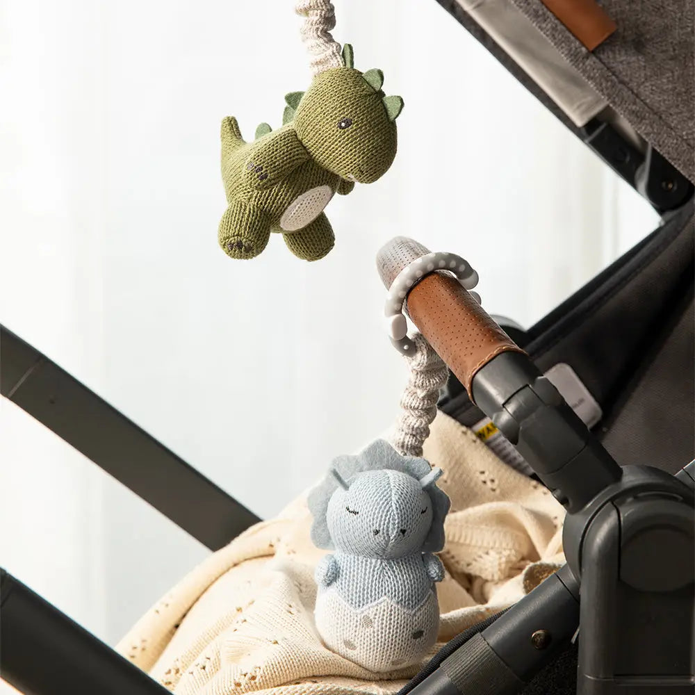 2 Pack Stroller Toy