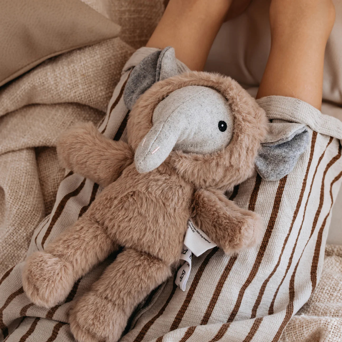 Vincent Elephant