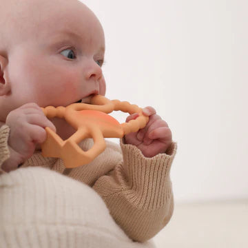 Lingo The Flamingo | Mini Teether