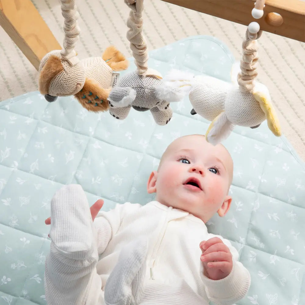 2 Pack Stroller Toy