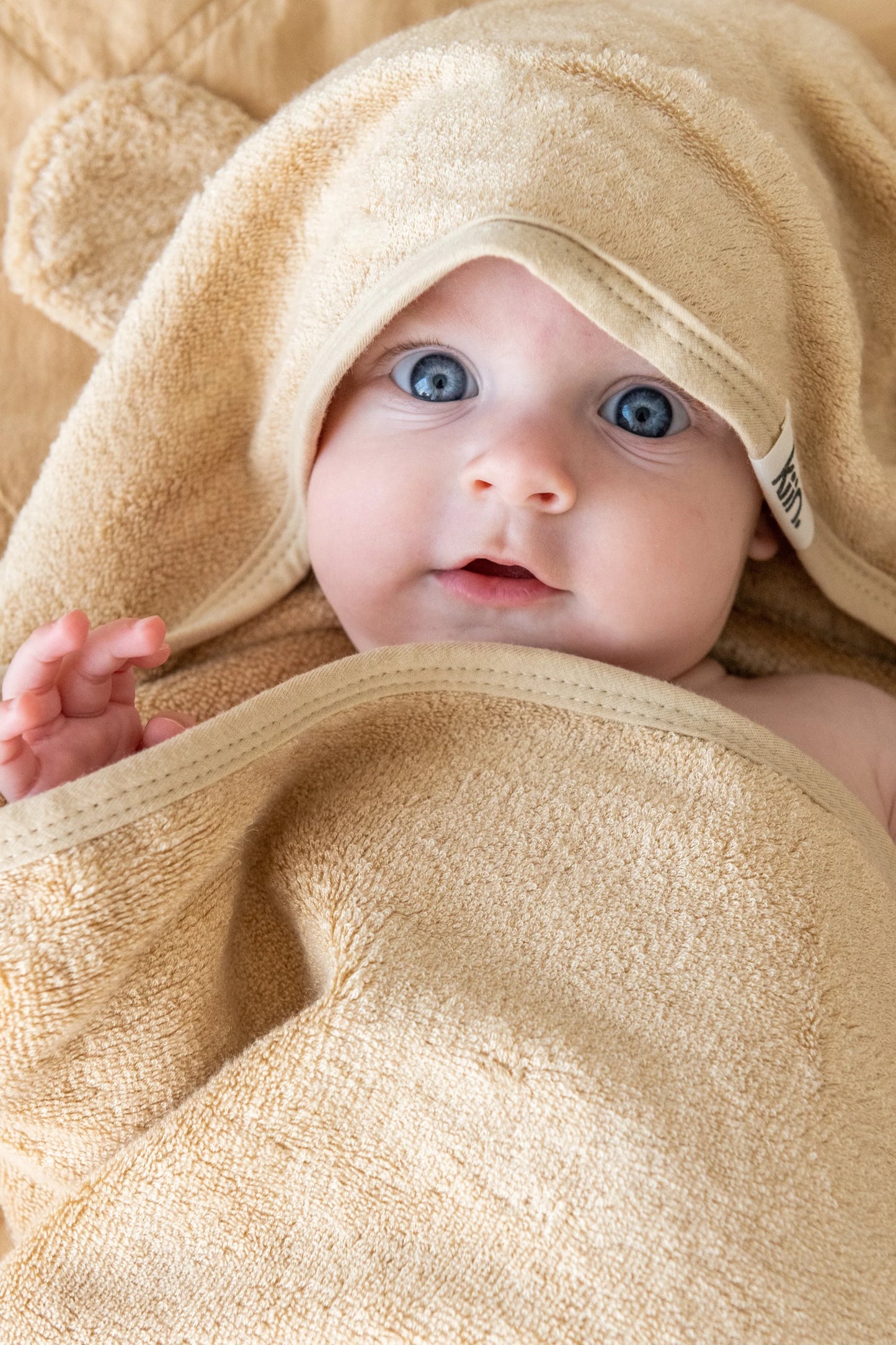 Hooded Towel |Oat