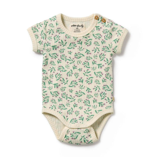 Periwinkle | Bodysuit