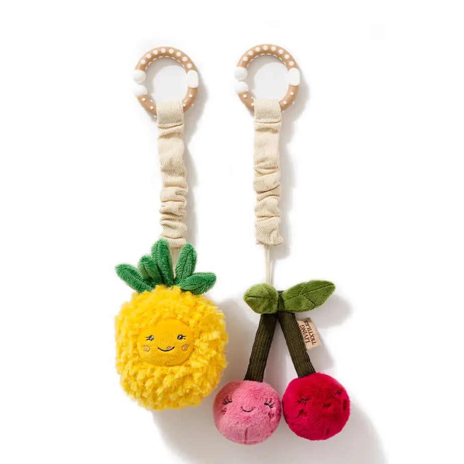 2 Pack Stroller Toy