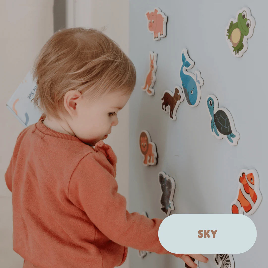 Magplay Magnetic Wall Decal 2.0 Wallkind™ - Kind To Walls, Bigger & Rental-Friendlier