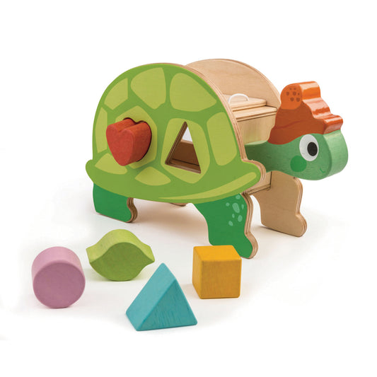 Wooden Tortoise Shape With Puzzle